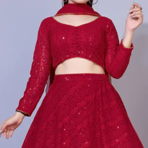 Premium quality Lehenga choli