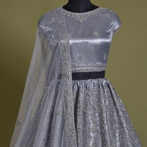 Premium quality Lehenga choli