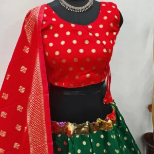 Premium quality Lehenga choli