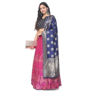 Premium quality Lehenga choli
