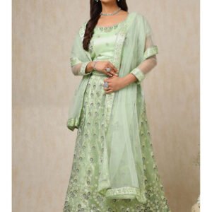 Trendy Modern Womens Designer Lehenga choli