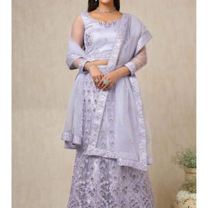 Trendy Modern Womens Designer Lehenga choli