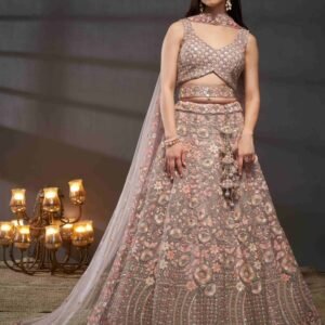 Trendy Modern Womens Designer Lehenga choli