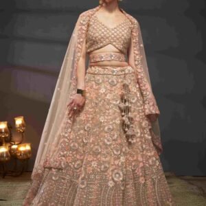 Trendy Modern Womens Designer Lehenga choli