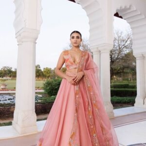 Trendy Modern Womens Designer Lehenga choli