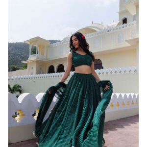 Trendy Modern Womens Designer Lehenga choli