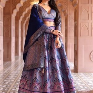 Trendy Modern Womens Designer Lehenga choli