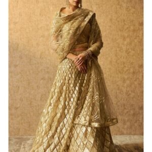Trendy Modern Womens Designer Lehenga choli